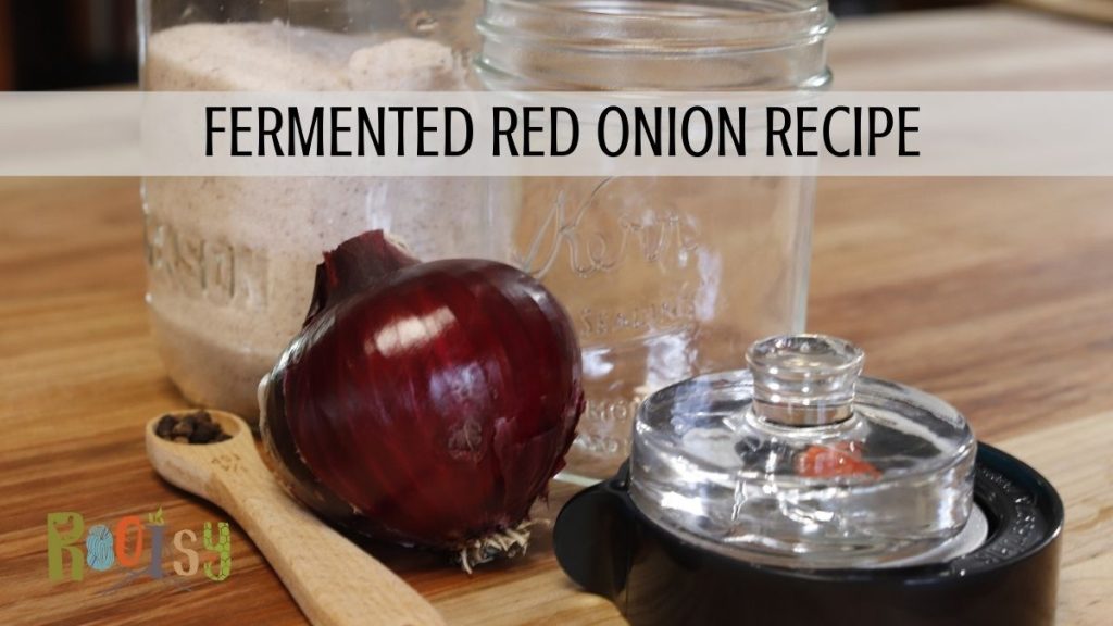 red onion, mason jar, fermenting weight and lid on wooden table