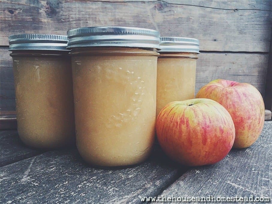 Three jars of homemade applesauce, crafted from cherished apple canning recipes, sit on a rustic wooden surface, accompanied by two red and yellow apples.
