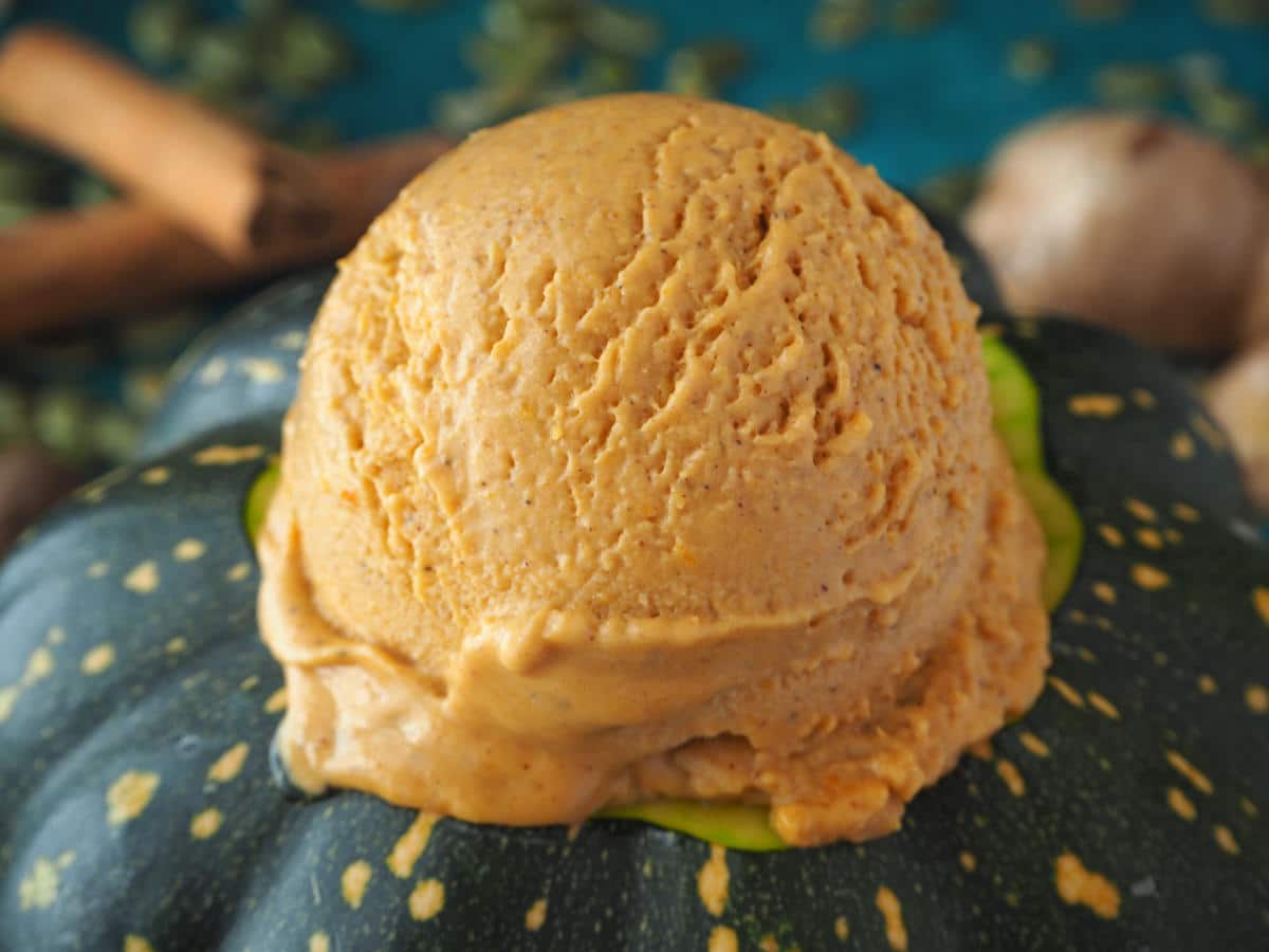 A scoop of creamy pumpkin ice cream, made from rich pumpkin puree, sits atop a green-speckled gourd, surrounded by cinnamon sticks and scattered seeds. The background is blurred, enhancing the focus on this autumn-themed dessert that shines in any fall recipe collection.