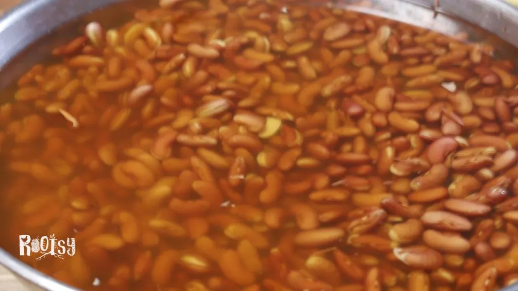 kidney beans in large metal bowl soaking in water before canning