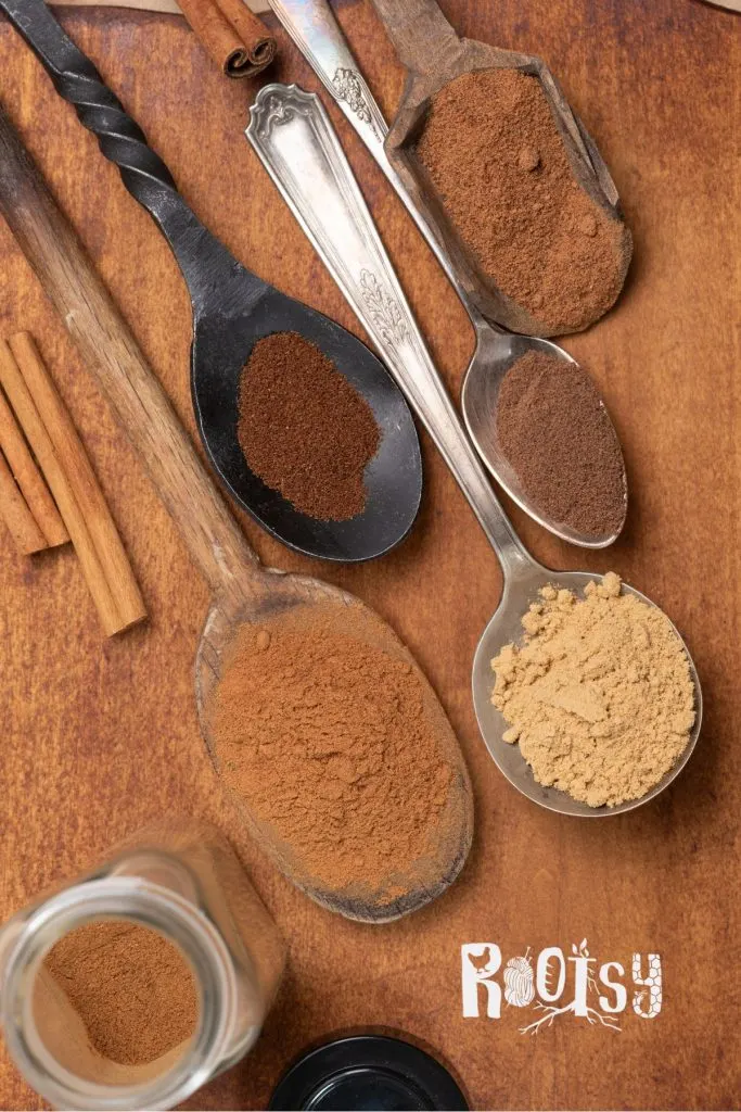 5 various sized spoons with ground spices on them.