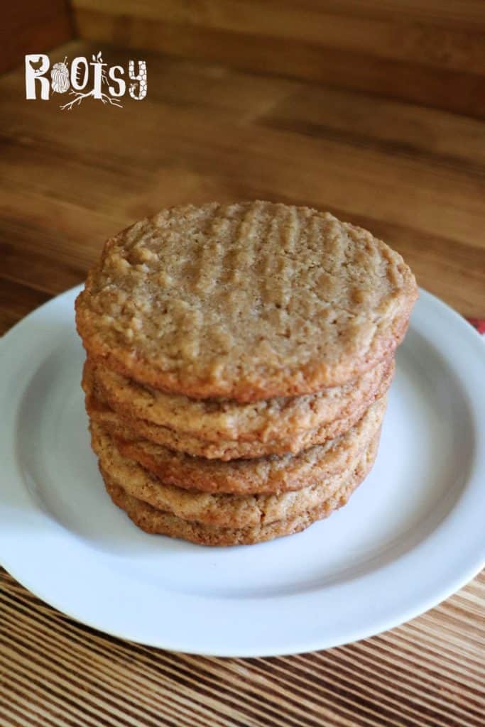 A stack of five homemade cookies on a white plate, set on a wooden surface. The cookies appear to be peanut butter flavored. The word "Rootsy" is displayed in the top left corner.