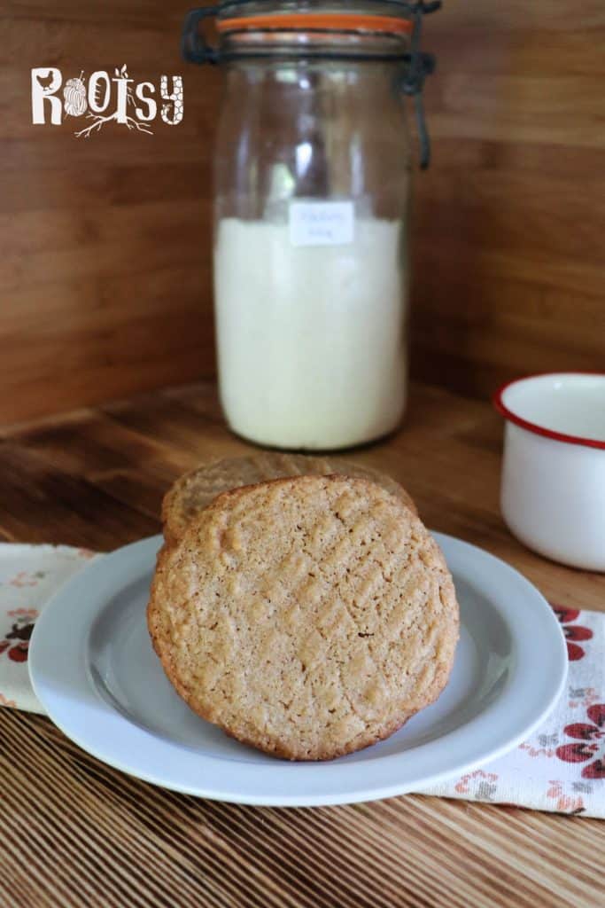 A plate with two peanut butter cookies sits on a floral napkin. In the background, there's a glass jar of baking mix and a white cup with a red rim on a wooden countertop. The word "Rootsy" is in the top left corner.